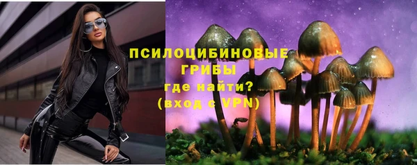 крисы Рославль